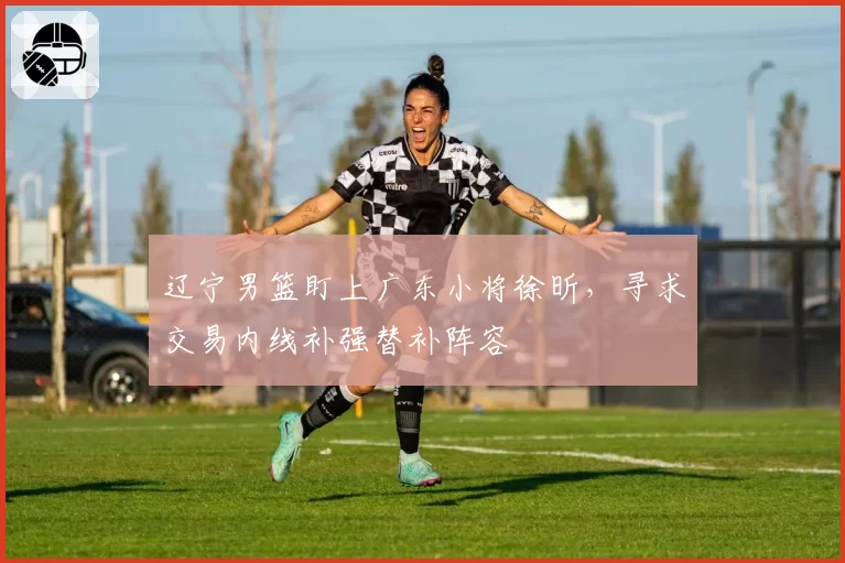 辽宁男篮盯上广东小将徐昕，寻求交易内线补强替补阵容