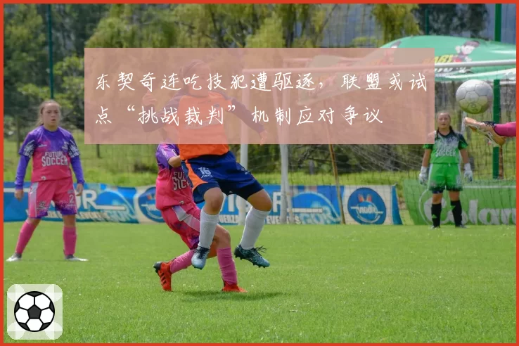 东契奇连吃技犯遭驱逐，联盟或试点“挑战裁判”机制应对争议