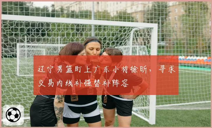 辽宁男篮盯上广东小将徐昕，寻求交易内线补强替补阵容