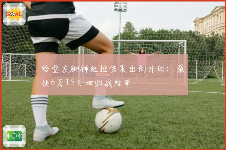 哈登左脚神经挫伤复出倒计时:最快6月15日回归战绿军