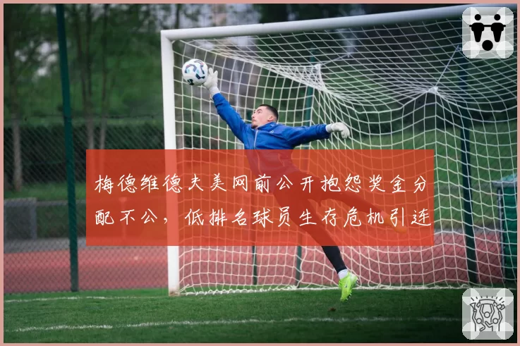 梅德维德夫美网前公开抱怨奖金分配不公，低排名球员生存危机引连锁抗议