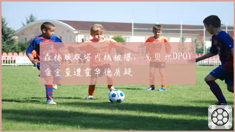森林狼双塔内线被爆，戈贝尔DPOY含金量遭霍华德质疑